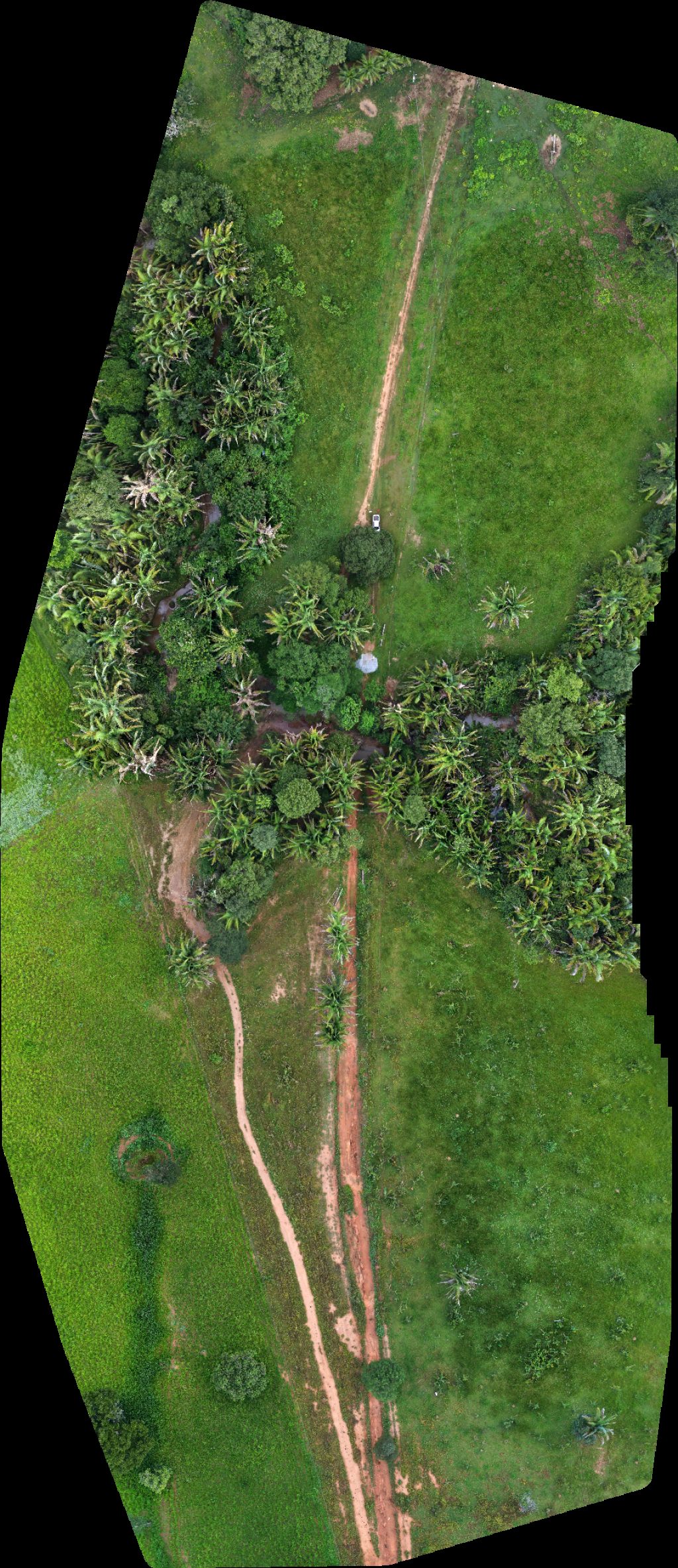 Drone map of Chácara WG Fazenda Cristo Rei in a Aerial drone map in Trombas, Go, BR