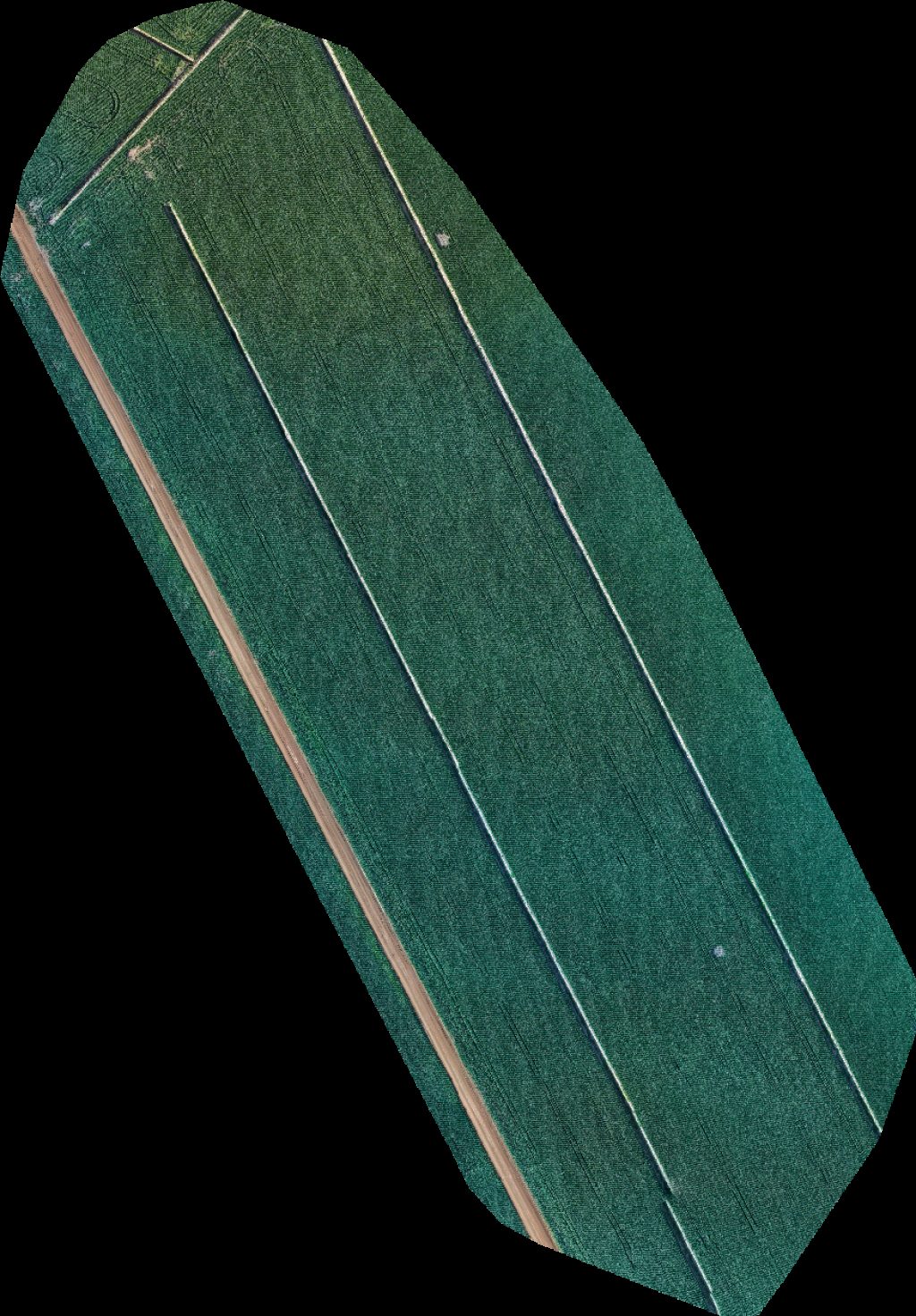 Drone map of Fazenda Alves por sol Aerial drone map in Lucas do Rio Verde, Mt, BR