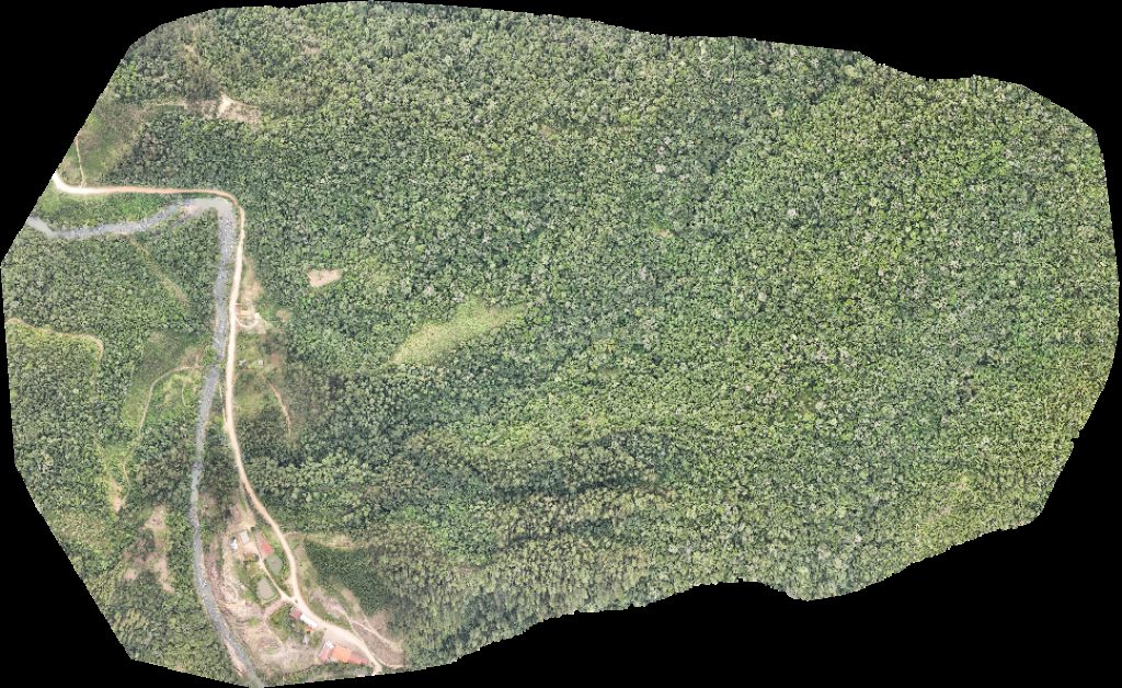 Thumbnail preview for Drone Map of Antigo Casarão Família Hinsch Acesso Somente Com Autorização Bar Do Neisse Central Sc in Apiúna, State of Santa Catarina, Brazil