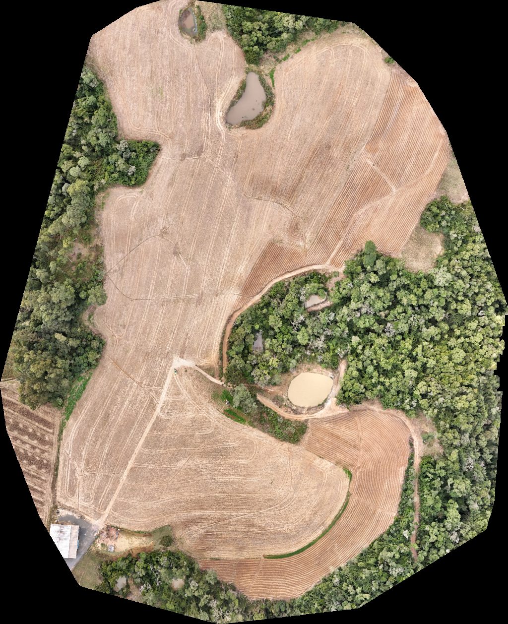 Thumbnail preview for Drone Map of Lagoa Entre Araucárias Rancho Das Delicias in Leoberto Leal, State of Santa Catarina, Brazil