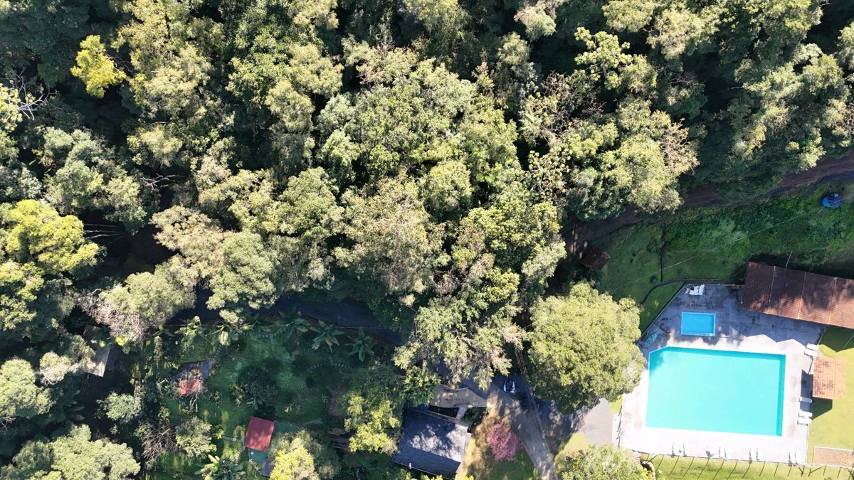 Thumbnail preview for 3D Drone Model of Sítio Marchi Empreiteira Borges in Rio Do Sul, Santa Catarina, Brazil