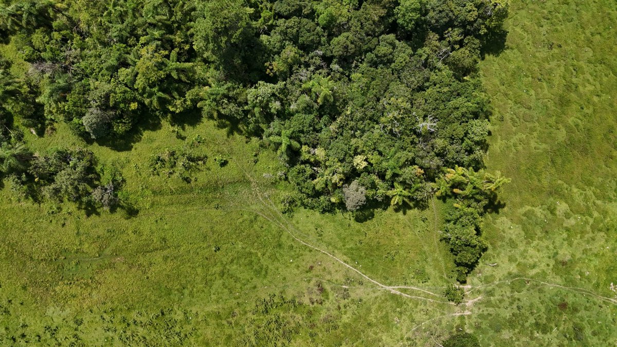 Drone 3d model of Diamante Mármores e Granitos Poá de Luxo Decor in Sumaré Aerial drone 3d model in Rio do Sul, Sc, BR