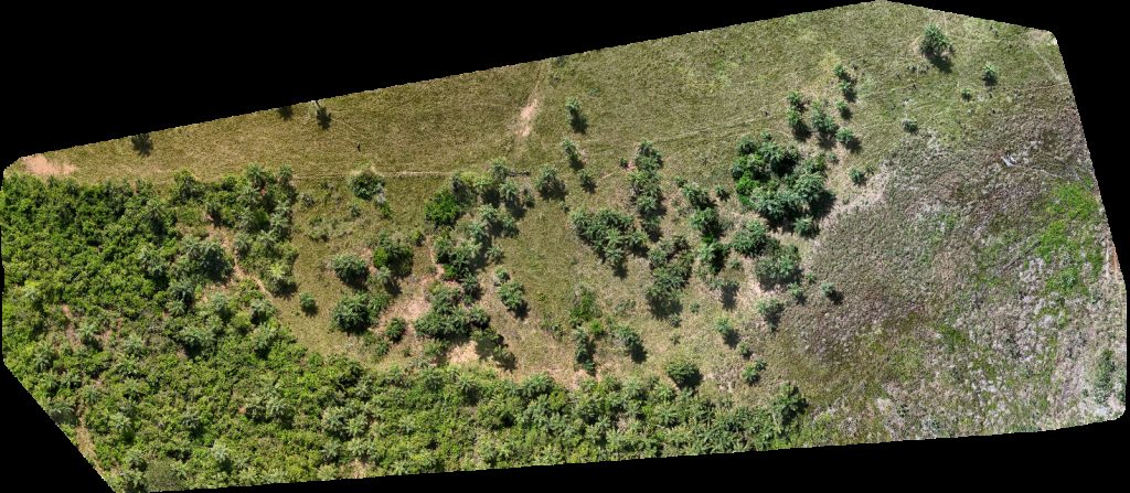 Thumbnail preview for Drone Map of Fazenda Santa Aguirre Sítio Dos Meus Primos in Euclides Da Cunha Paulista, São Paulo, Brazil
