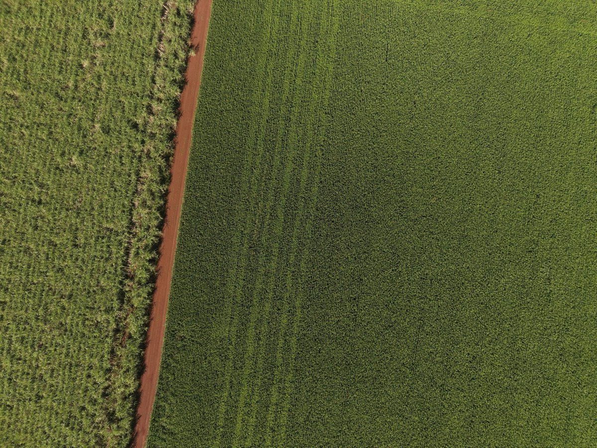 Drone 3d model of Fazenda Ribeirão Vermelho Fartura in salto grande Aerial drone 3d model in Ibirarema, Sp, BR