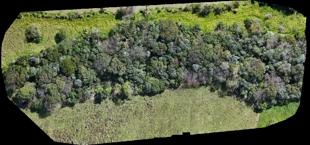 Thumbnail preview for Drone Map of Rampa Pública Do Birruga Rancho Da Saudade in Presidente Epitácio, São Paulo, Brazil