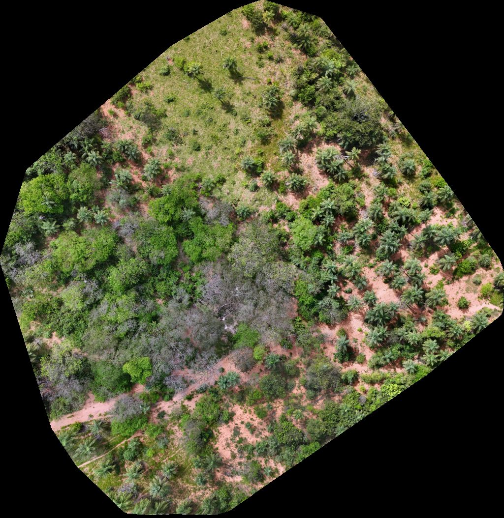 Thumbnail preview for Drone Map of Sitio Pais E Filhos Sítio Borda Da Mata in Rosana, São Paulo, Brazil