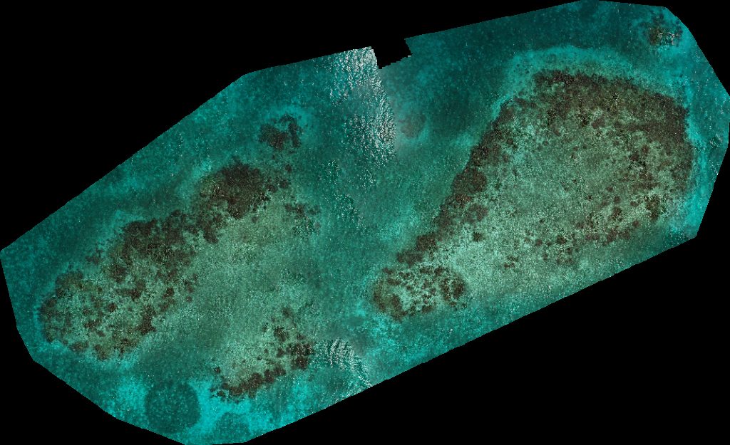 Drone map of Glover s Reef Research Station Middle Caye in south water caye Aerial drone map in , Region, BZ