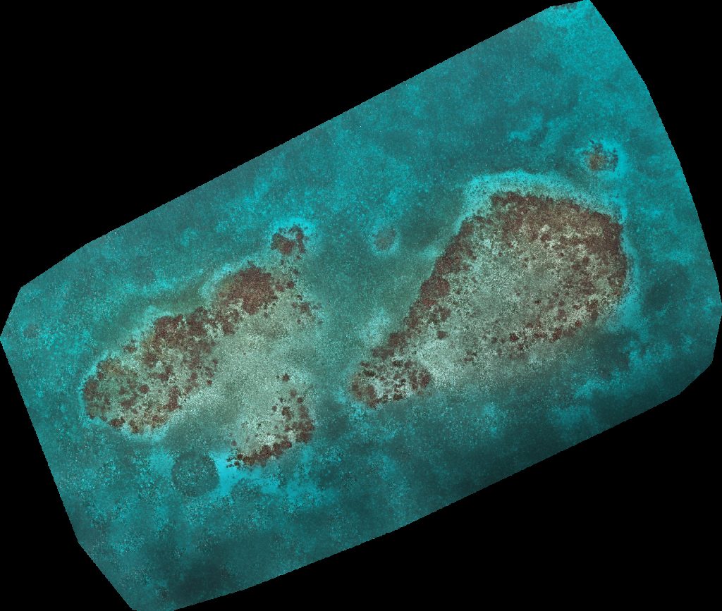 Drone map of Glover s Reef Research Station Middle Caye in south water caye Aerial drone map in , Region, BZ