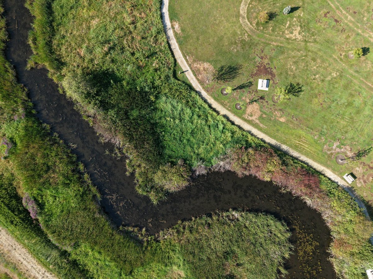 Thumbnail preview for 3D Drone Model of Thomson Marsh Park Stewardship Area in Kelowna, British Columbia, Canada