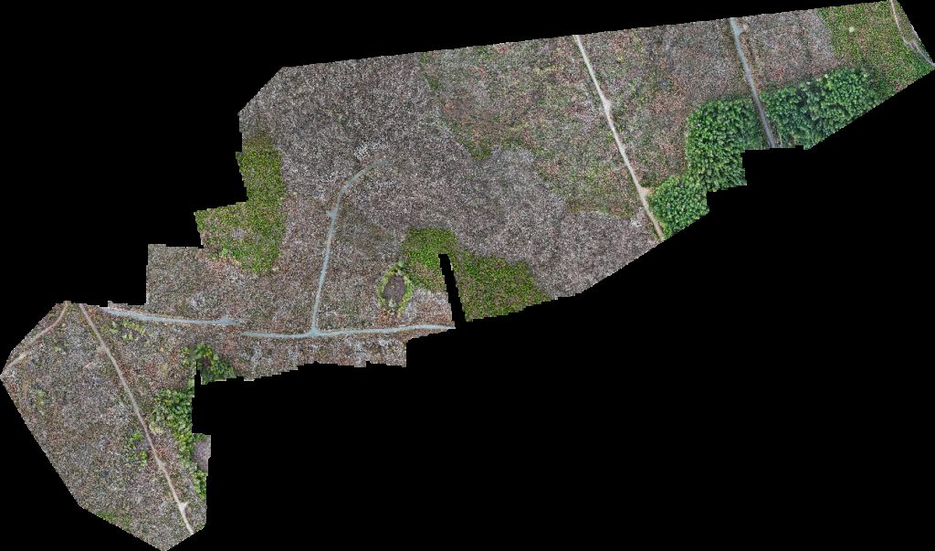 Drone map of rhododendron lake Englishman River Falls in englishman river Aerial drone map in Nanaimo, Bc, CA