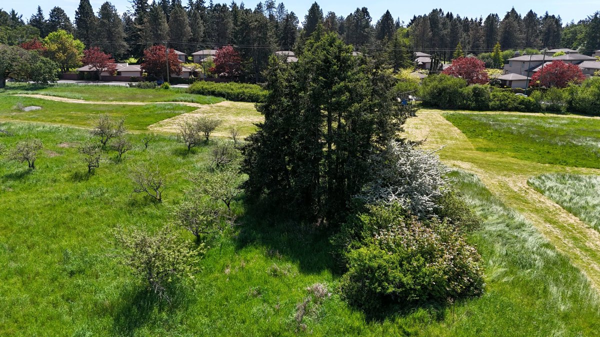 Drone 3d model of Round One 4Ment Solutions in cadboro bay Aerial drone 3d model in Victoria, Bc, CA