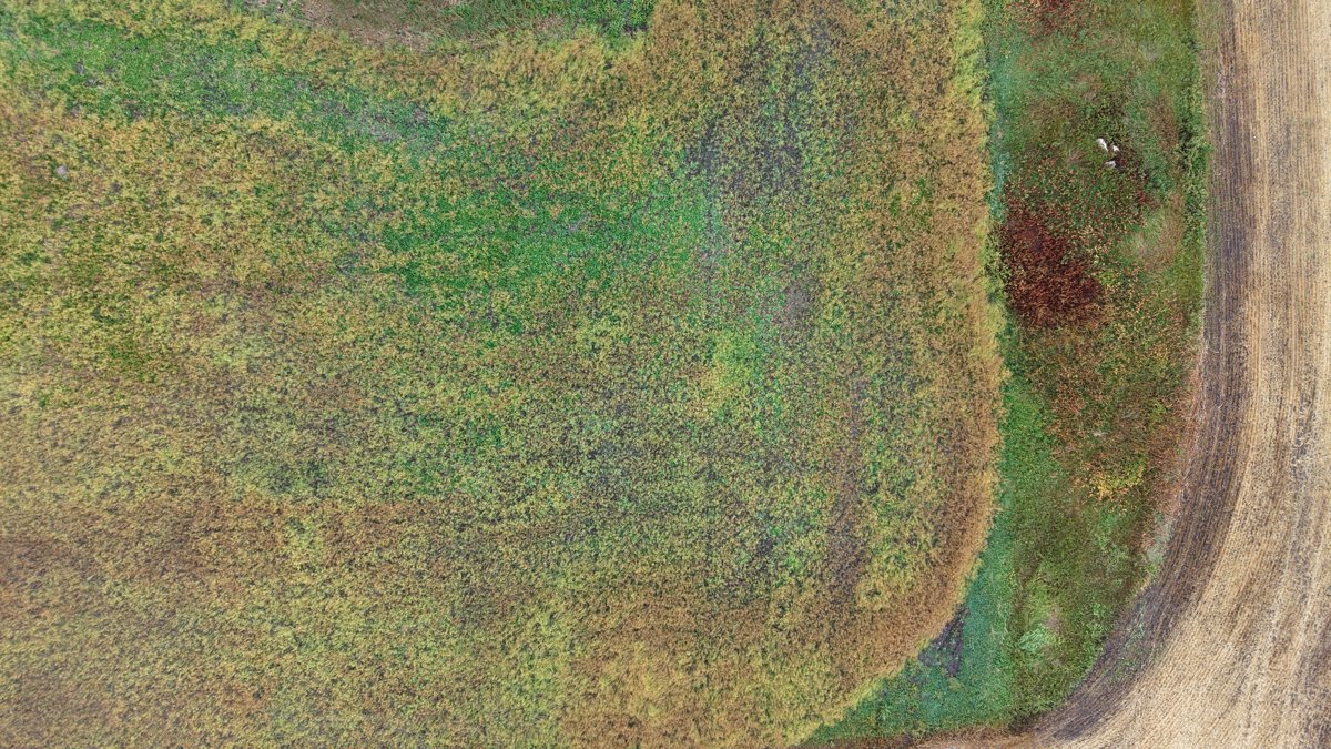 Drone 3d model of Claeyson Inc Carson schoonbaert farms in turtle mountain seed Aerial drone 3d model in Leighton, Mb, CA