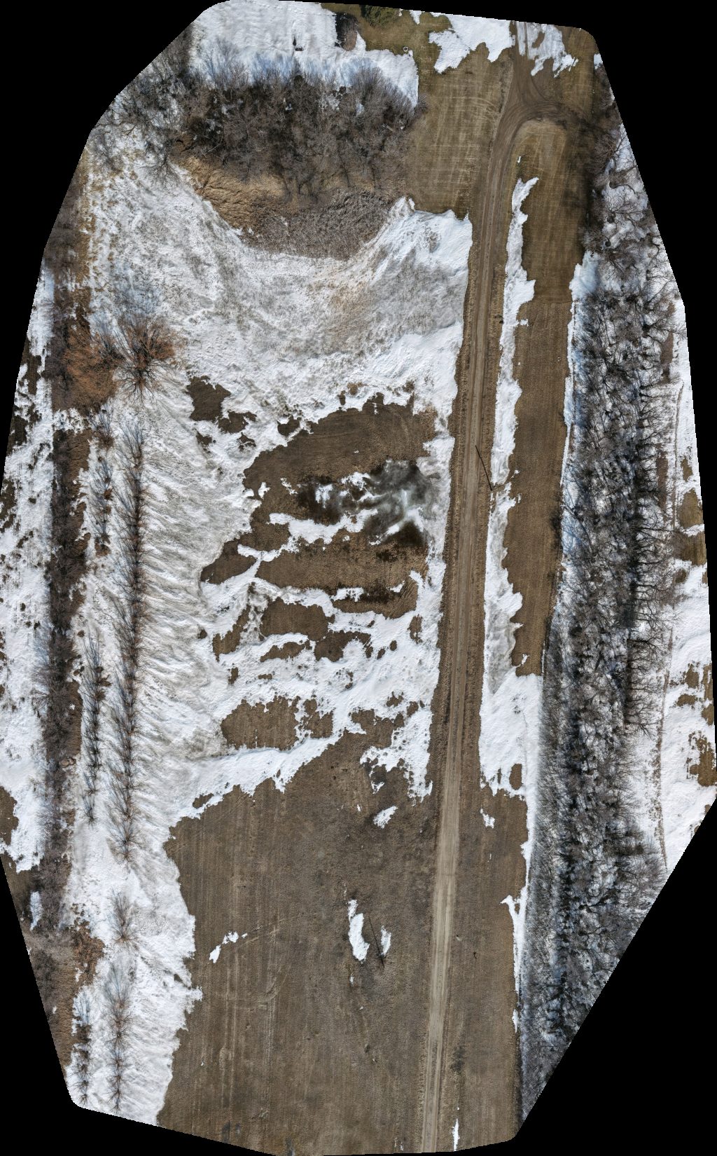 Drone map of Claeyson Inc Carson schoonbaert farms in turtle mountain seed Aerial drone map in Leighton, Mb, CA