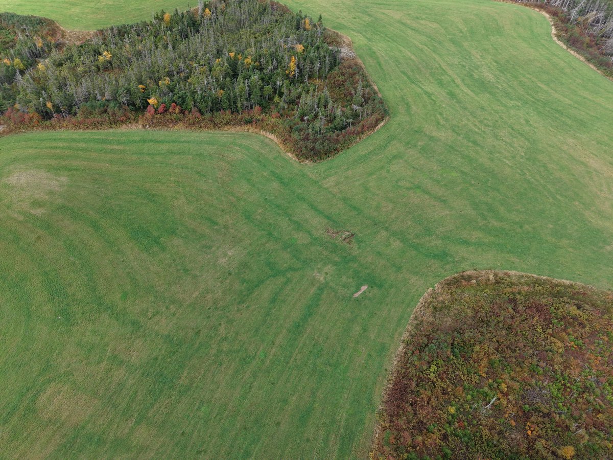 Drone 3d model of Whelan s Farm Fox ponds in sam s rv Aerial drone 3d model in , Nl, CA