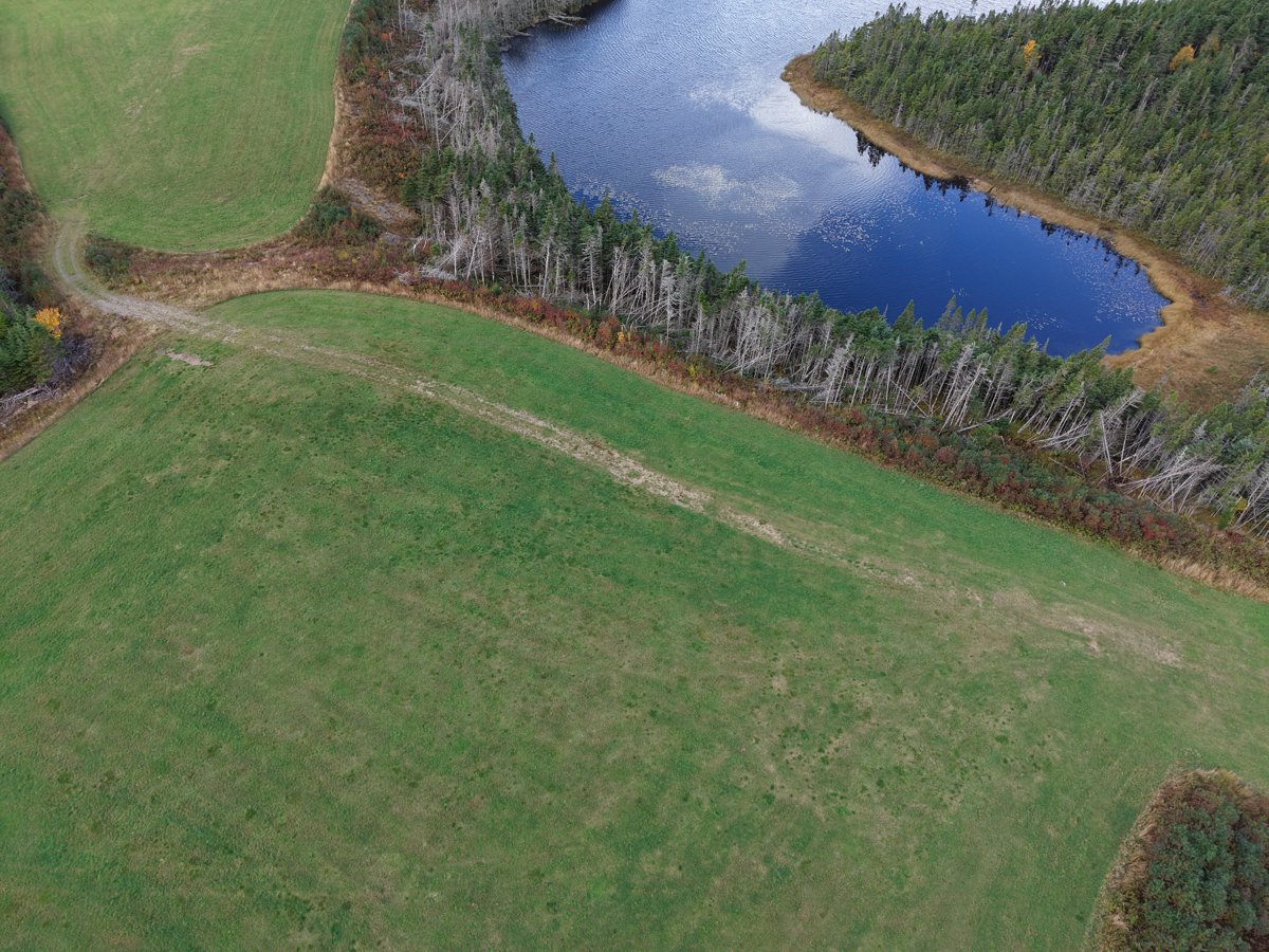 Drone 3d model of Whelan s Farm Fox ponds in sam s rv Aerial drone 3d model in , Nl, CA