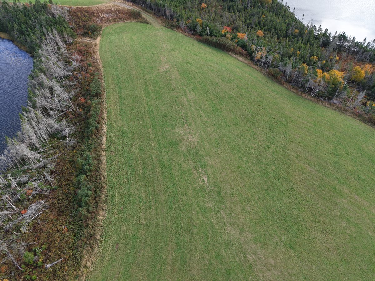 Drone 3d model of Whelan s Farm Fox ponds in sam s rv Aerial drone 3d model in , Nl, CA