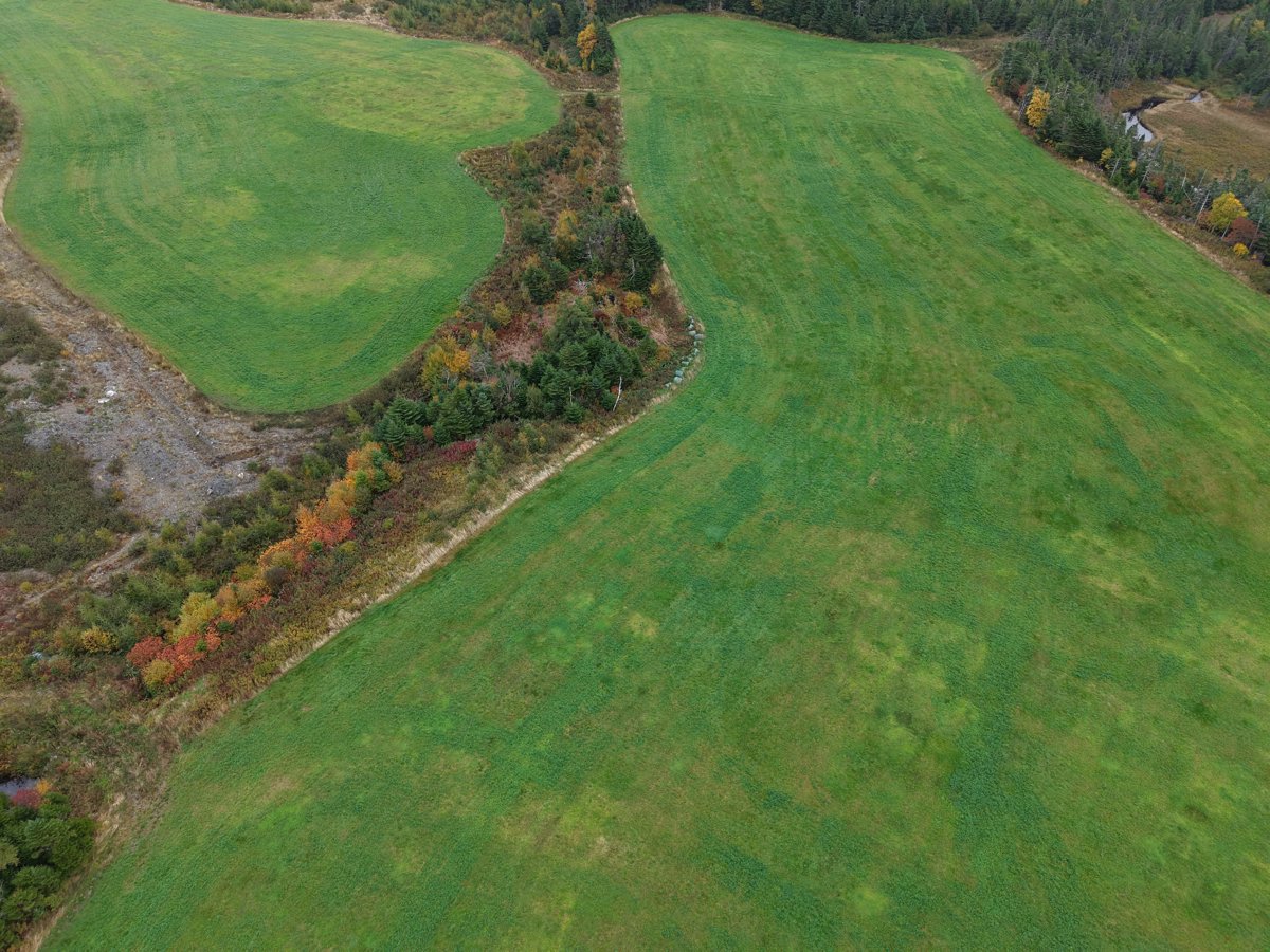 Drone 3d model of Whelan s Farm Mahers Cottage in sam s rv Aerial drone 3d model in , Nl, CA