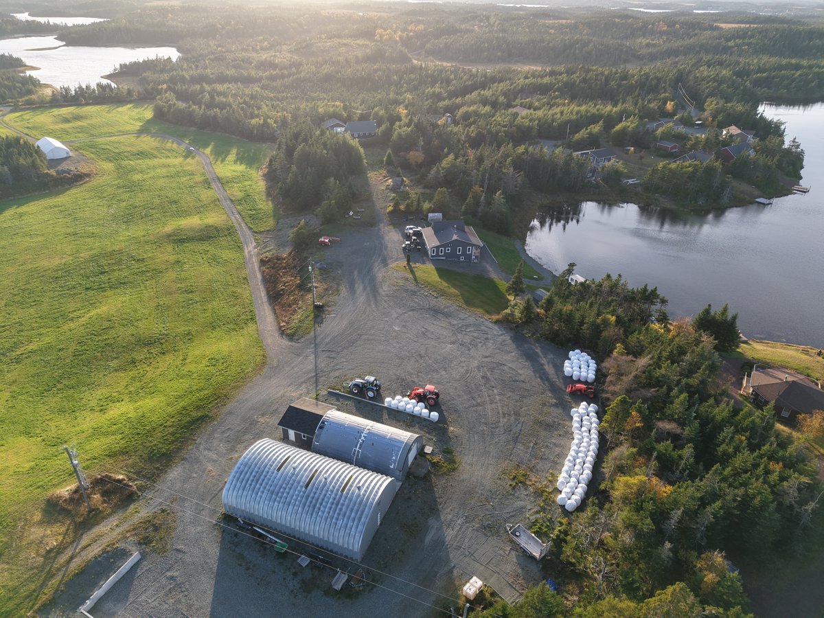 Drone 3d model of Whelan s Farm Mahers Cottage in sam s rv Aerial drone 3d model in , Nl, CA