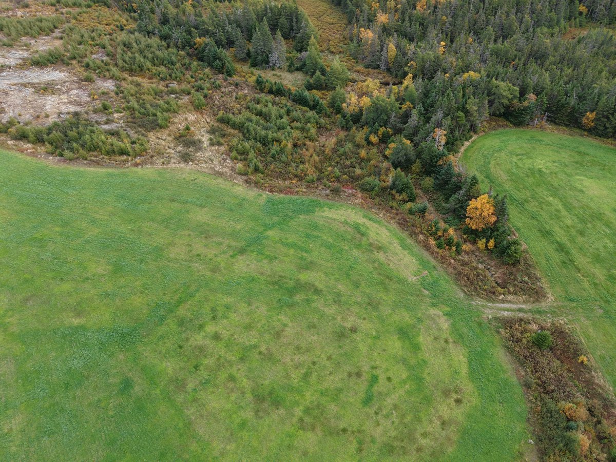 Drone 3d model of Whelan s Farm Mahers Cottage in sam s rv Aerial drone 3d model in , Nl, CA