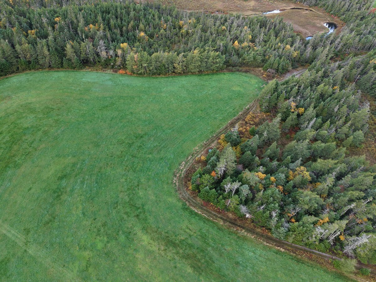 Drone 3d model of Whelan s Farm Mahers Cottage in sam s rv Aerial drone 3d model in , Nl, CA