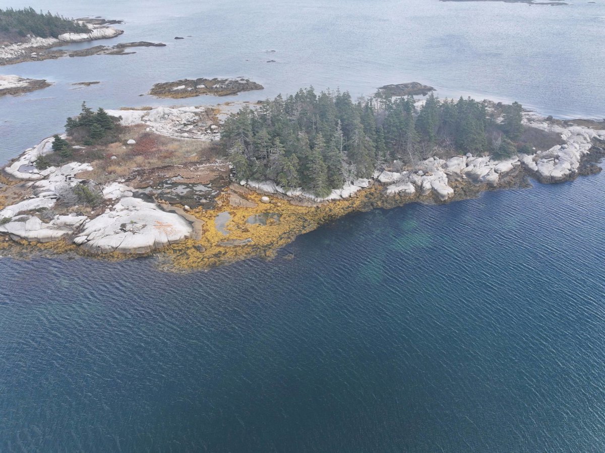 Drone 3d model of Boat Dock Euros Standard in terence bay Aerial drone 3d model in Lower Prospect, Ns, CA