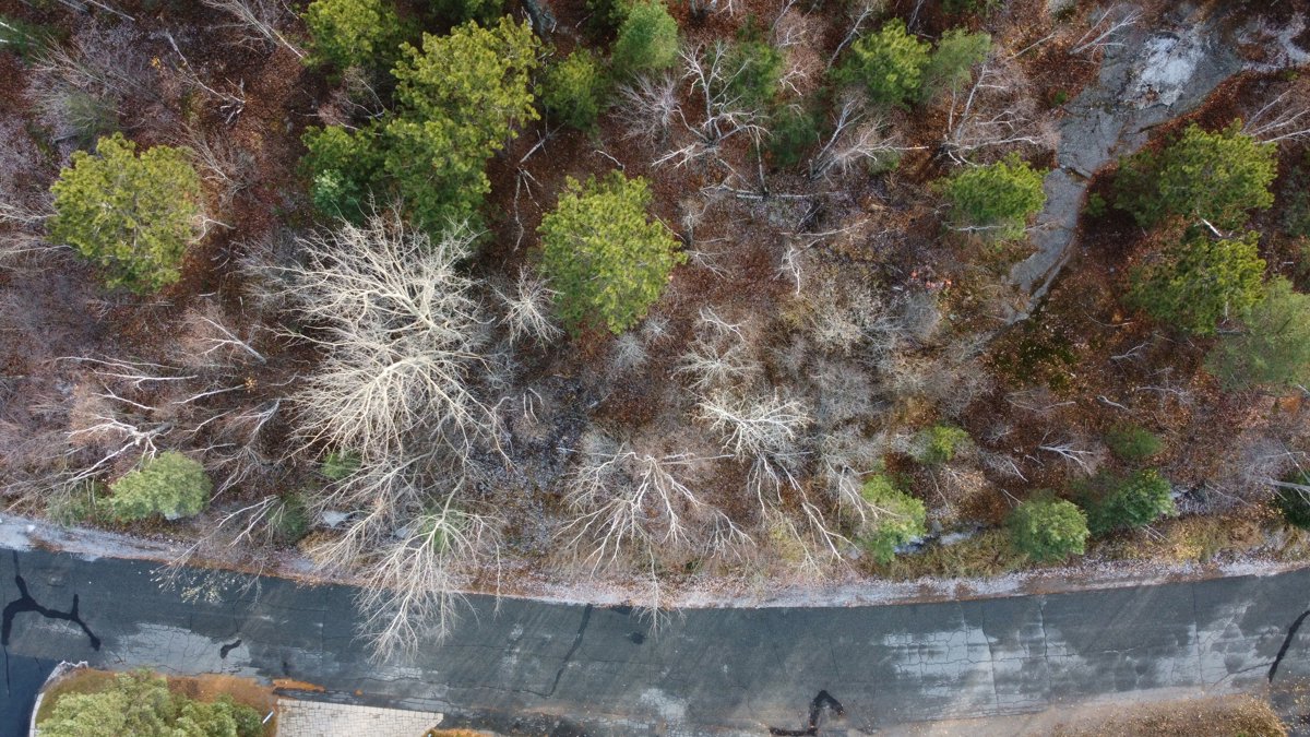 Drone 3d model of CKM Styling Early Childhood Educators Qualifications Program Aerial drone 3d model in Greater Sudbury, On, CA