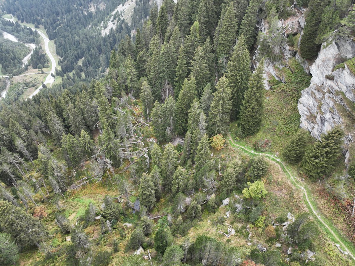 Drone 3d model of Turm Belvedere Maloja Bosch in belvedere maloja Aerial drone 3d model in Chur, Gr, CH