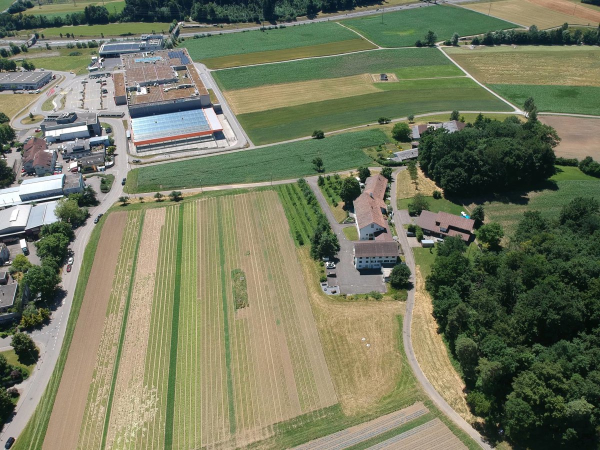 Drone 3d model of ImmoTech Service Baum Aerial drone 3d model in Affoltern am Albis, Zh, CH