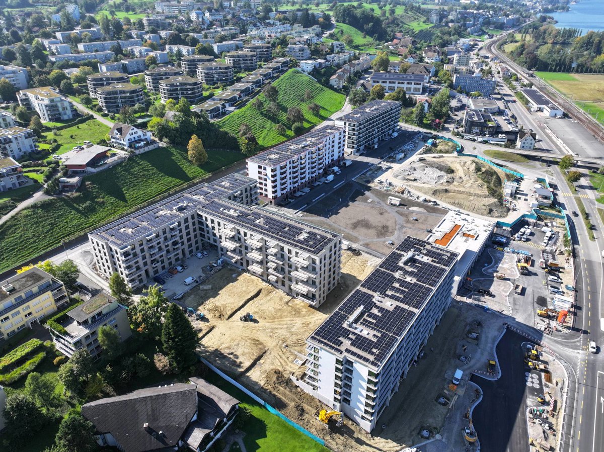 Drone 3d model of Aucenter Halbinsel Au in au zh aubrücke Aerial drone 3d model in Wädenswil, Zh, CH