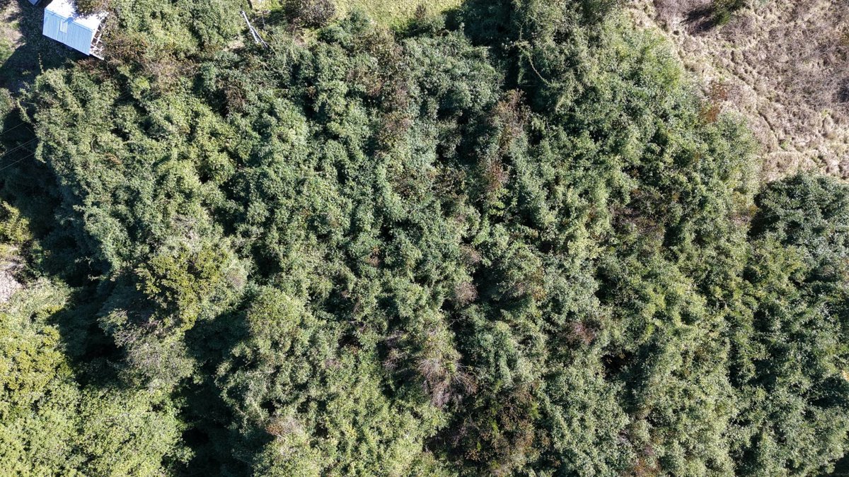 Thumbnail preview for 3D Drone Model of Casa Entre Volcanes Sustentable Ensenada Rio Petrohue Parcela 13B in Llanquihue Province, Los Lagos, Chile