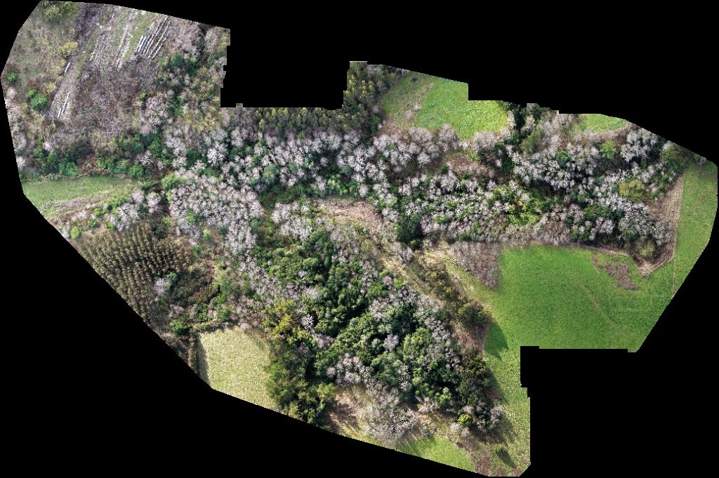 Drone map of Posta Rural Pilpilcahuin Viña Trapi in de mashue Aerial drone map in La Unión, Los Rios, CL