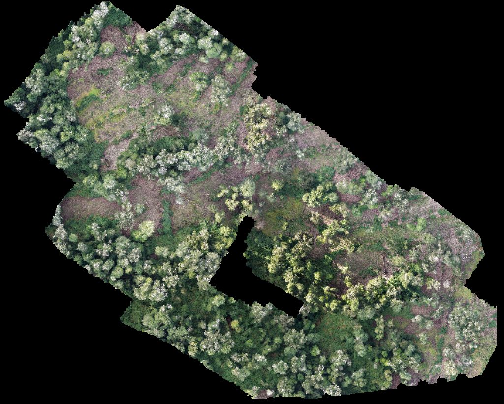 Drone map of PREDIO RUCATAYO fundo boquial in nueva esperanza Aerial drone map in San Pablo, Los Rios, CL