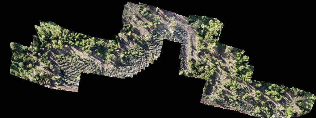 Drone map of PREDIO RUCATAYO fundo boquial in nueva esperanza Aerial drone map in San Pablo, Los Rios, CL