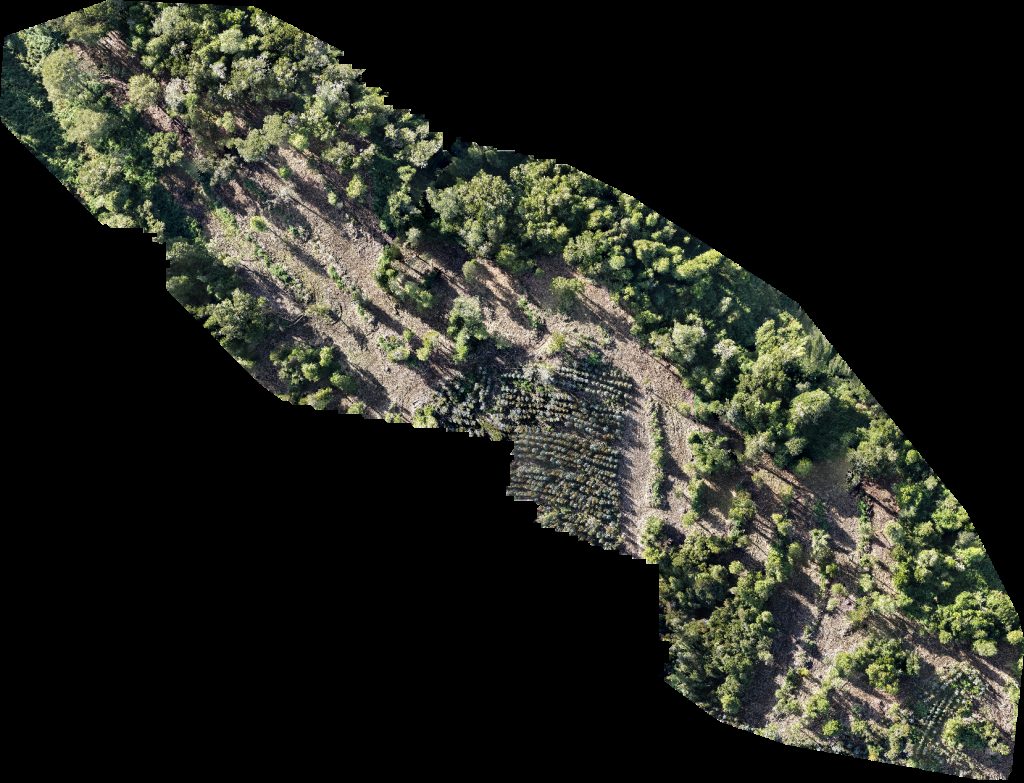 Drone map of PREDIO RUCATAYO fundo boquial in nueva esperanza Aerial drone map in San Pablo, Los Rios, CL