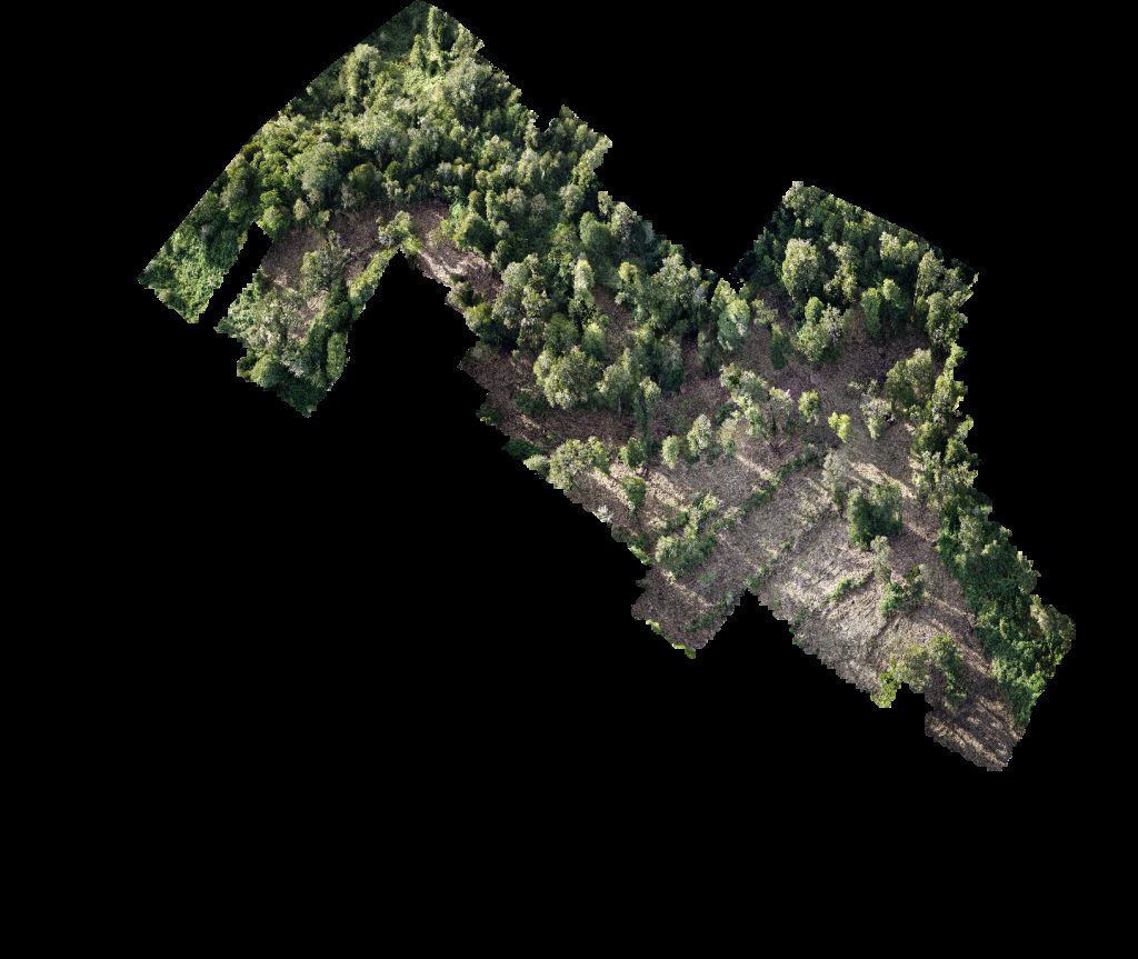 Drone map of PREDIO RUCATAYO fundo boquial in nueva esperanza Aerial drone map in San Pablo, Los Rios, CL