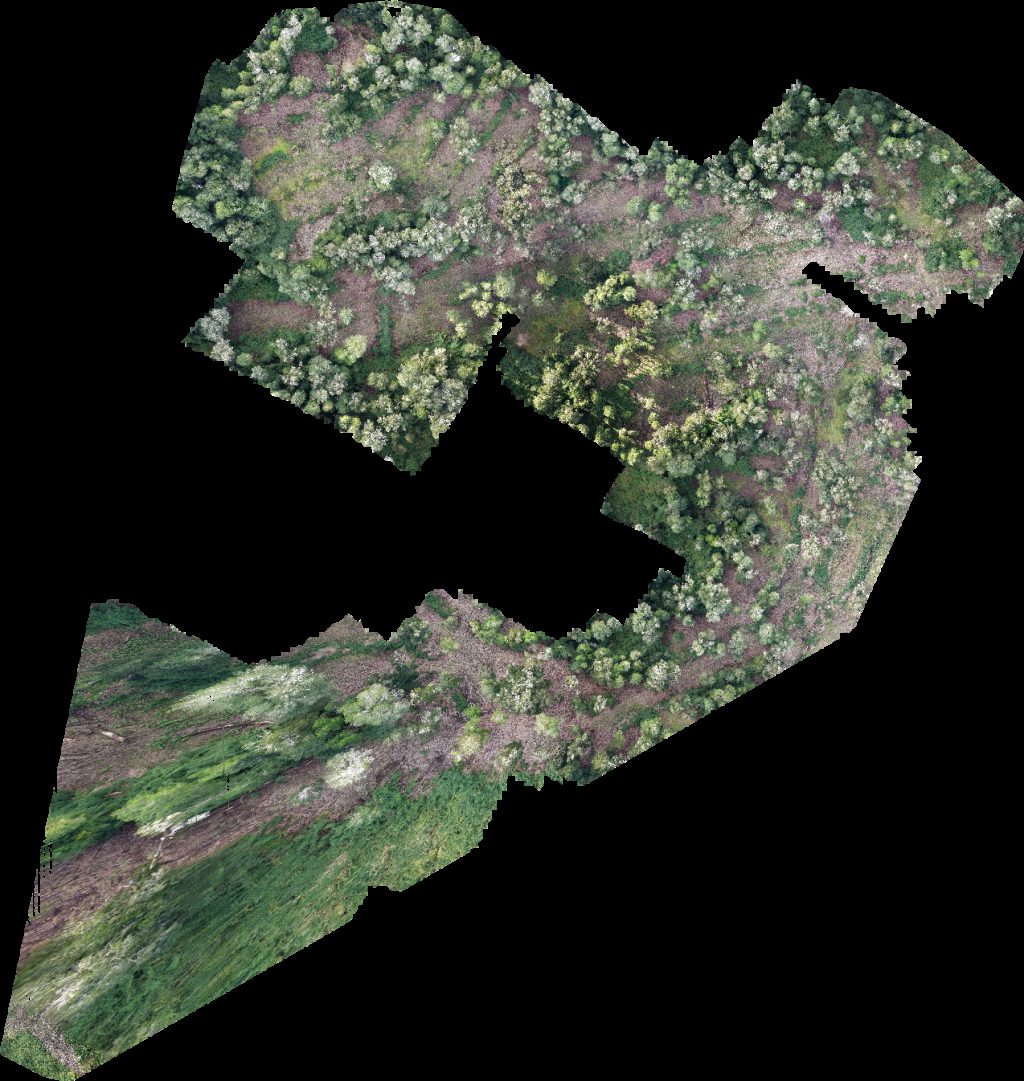 Drone map of PREDIO RUCATAYO fundo boquial in nueva esperanza Aerial drone map in San Pablo, Los Rios, CL