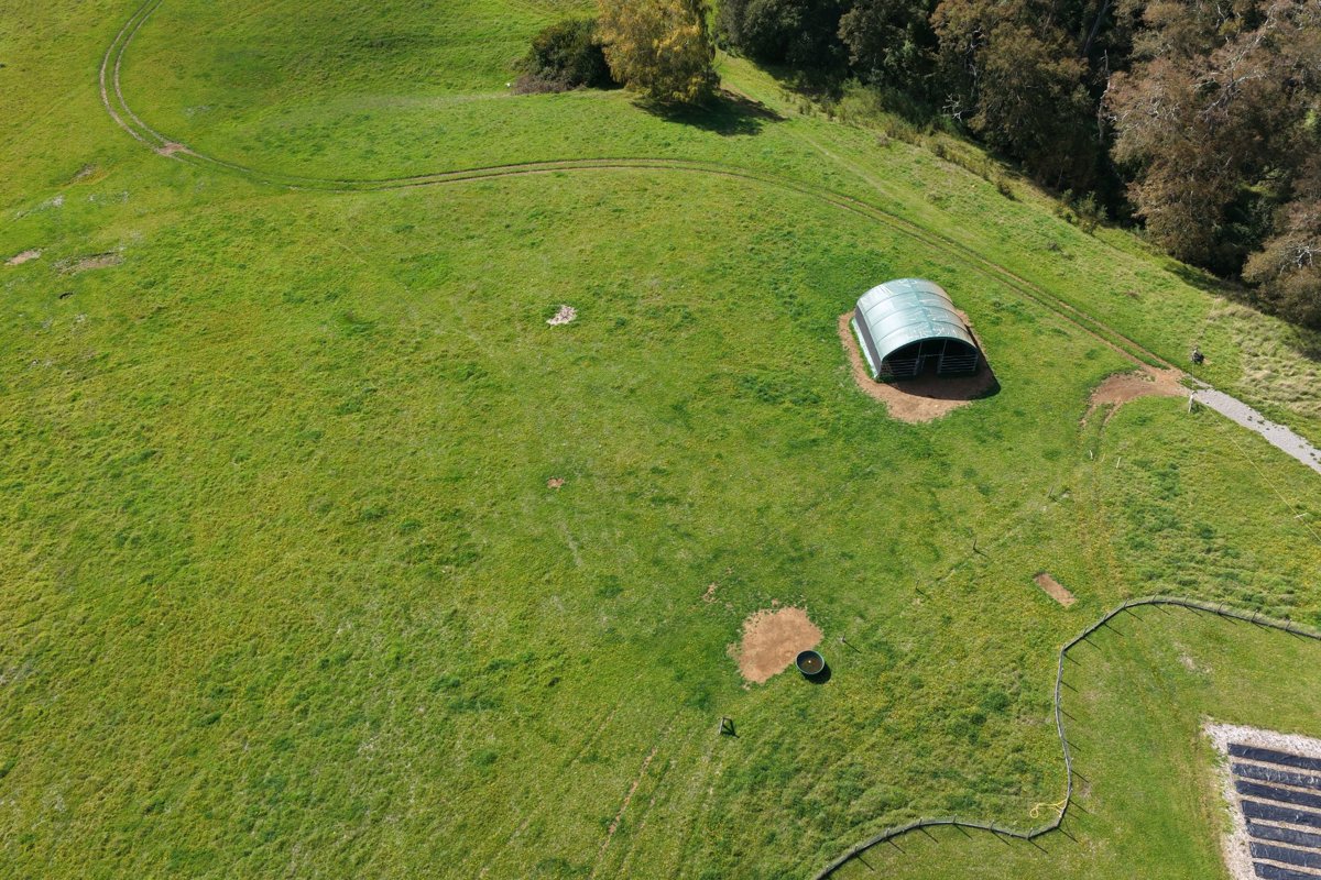 Drone 3d model of Black Swan Farm Santuario de La Naturaleza Carlos Anwandter in two bedroom house Aerial drone 3d model in Valdivia Province, Los Rios, CL