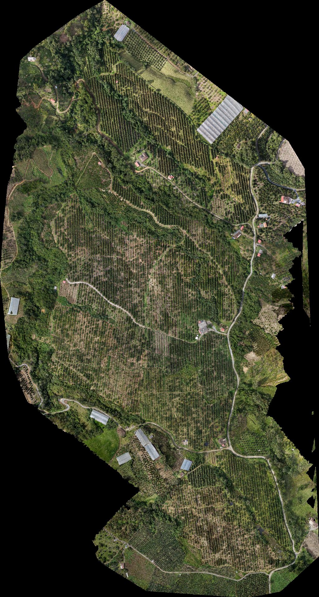 Drone map of Finca la Iglesita Franca Yorladis in finca la Aerial drone map in Sonsón, Antioquia, CO