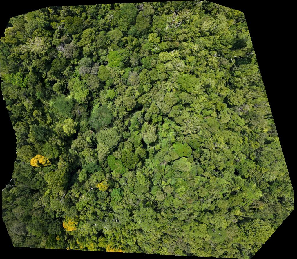 Drone map of Reserva Natural Río Nuevo Finca Rana Verde in Río Nuevo Aerial drone map in Puerto Jiménez, Provincia De Puntarenas, CR