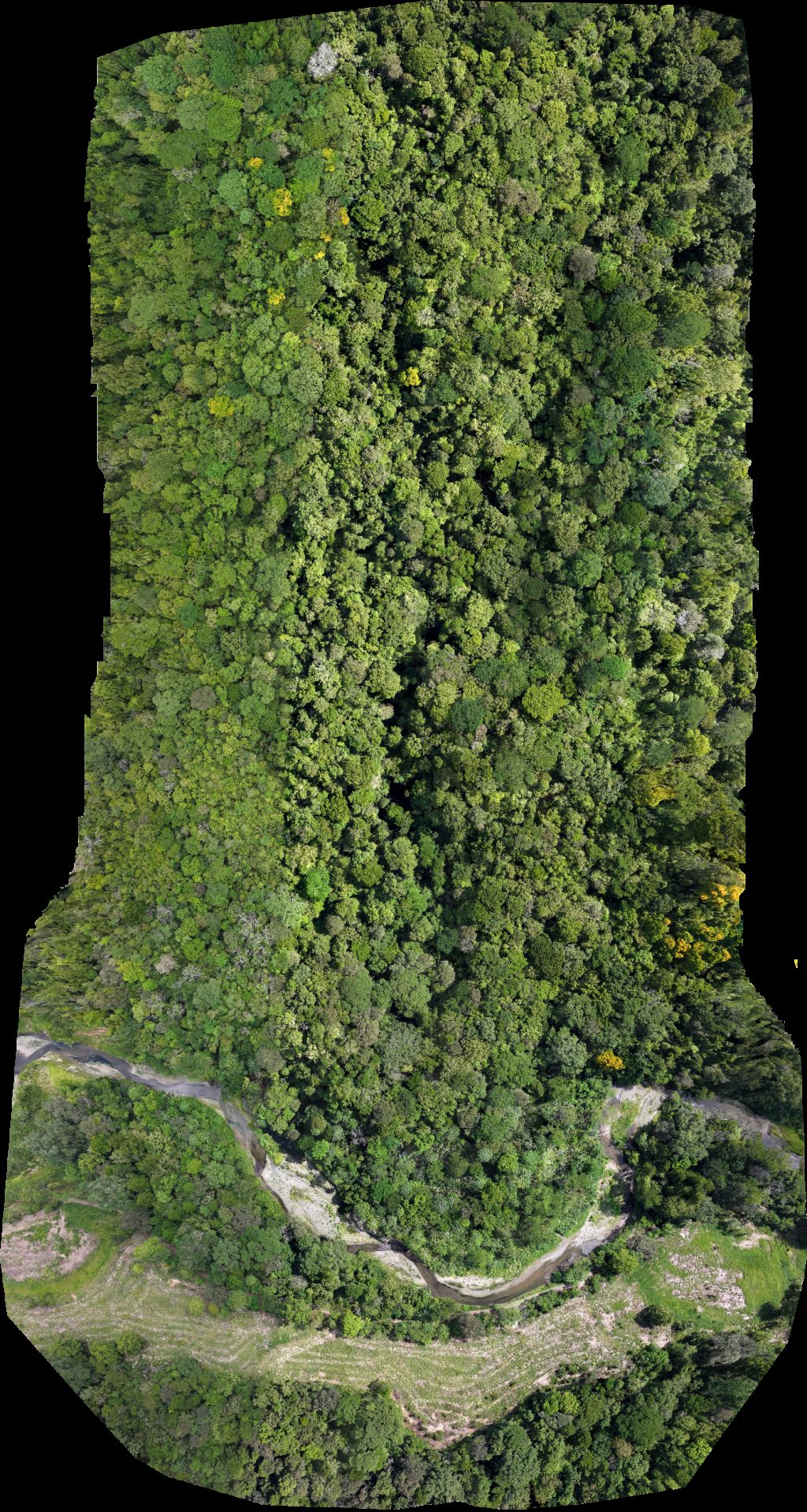 Drone map of Reserva Natural Río Nuevo Finca Rana Verde in Río Nuevo Aerial drone map in Puerto Jiménez, Provincia De Puntarenas, CR