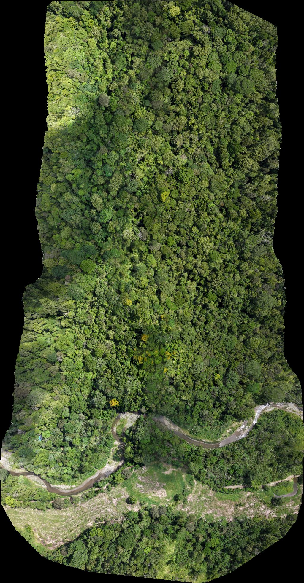 Drone map of Reserva Natural Río Nuevo Finca Rana Verde in Río Nuevo Aerial drone map in Puerto Jiménez, Provincia De Puntarenas, CR