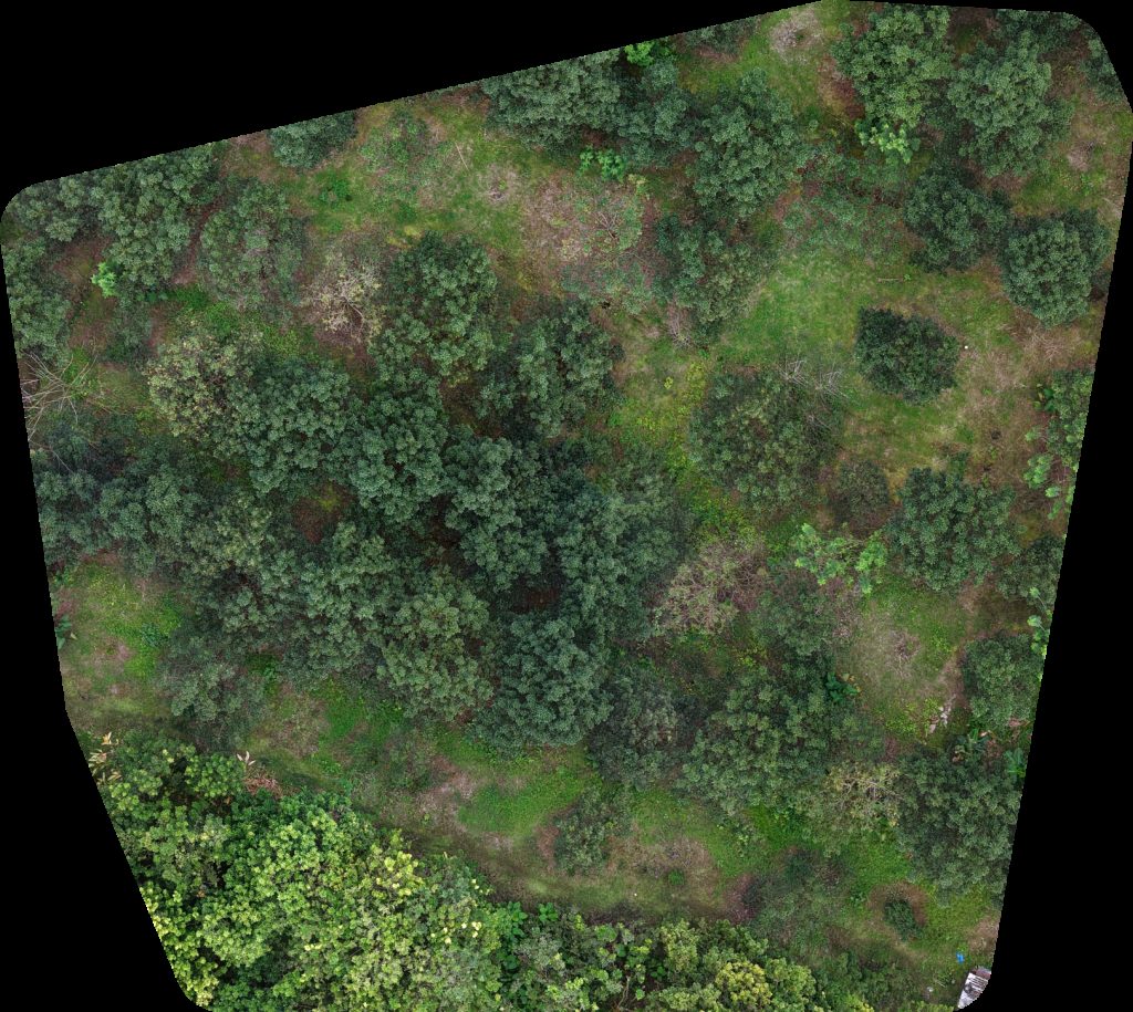 Drone map of El Garage Mecánica y Más REPOSTERIA SHACKO in San Ramón Aerial drone map in Río Claro, Provincia De Puntarenas, CR