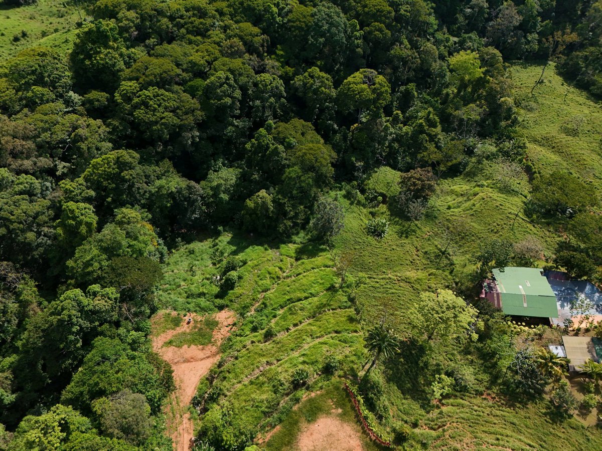 Drone 3d model of Medicina Illumina CASA DE MOI Aerial drone 3d model in Platanillo, San Jose Province, CR