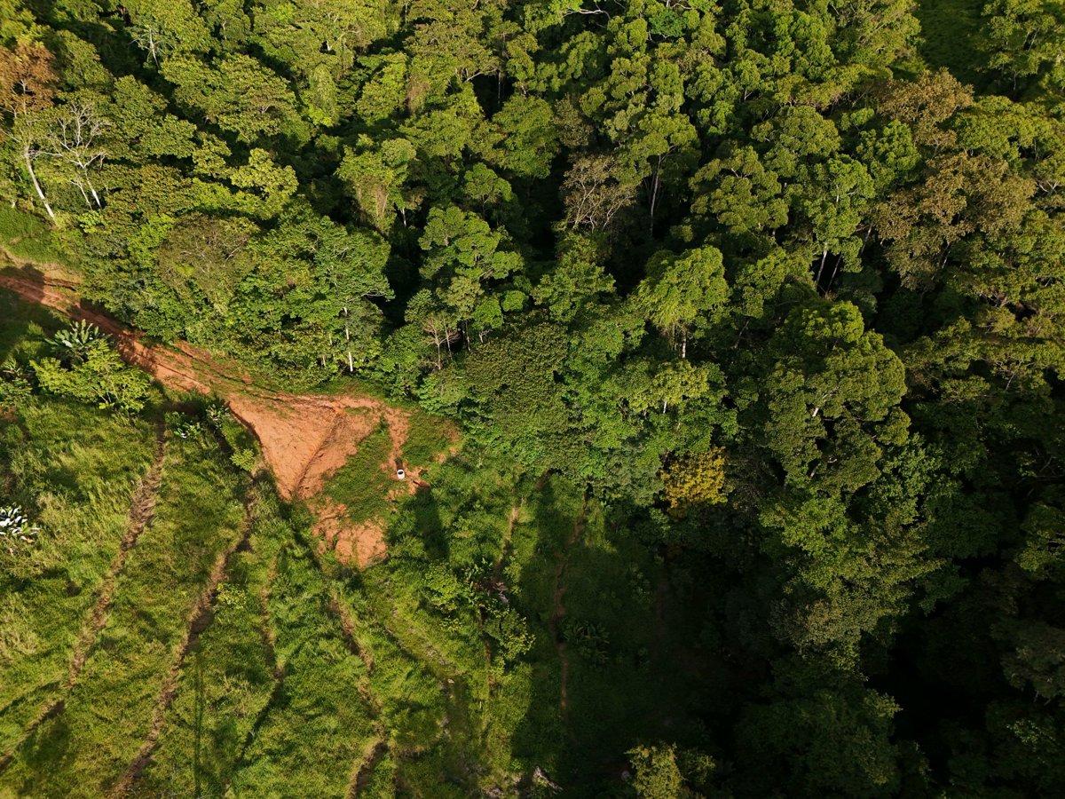 Drone 3d model of Medicina Illumina CASA DE MOI Aerial drone 3d model in Platanillo, San Jose Province, CR