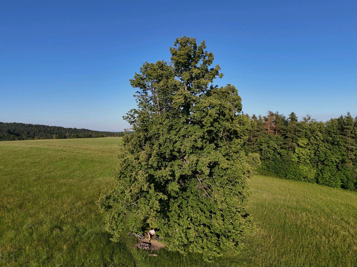 Thumbnail preview for 3D Drone Model of Jaroslav Špina Rakso Zednické Práce Stavby Na Klíč Lyžařský Areál in Dubičné, Jihocesky Kraj, Czechia