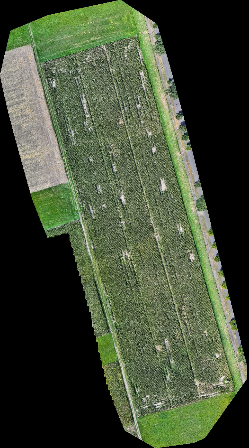 Drone map of Bosche Schiffsbedarf Inhaber Salisso Schiffsausrüstung GmbH Schiffliegestelle Friesenheimer Insel in friesenheimer insel Aerial drone map in Mannheim, Bw, DE