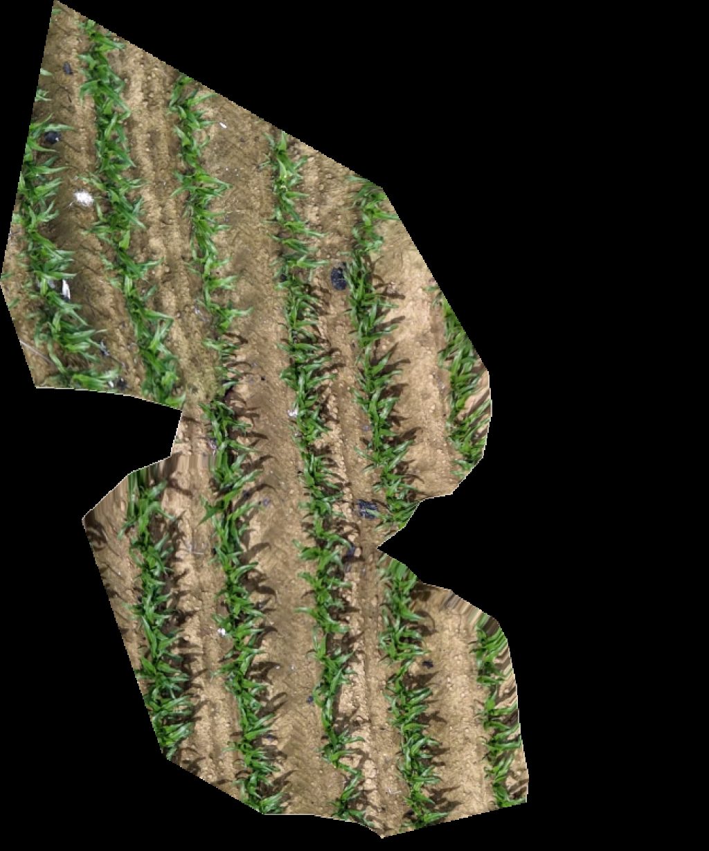 Thumbnail preview for Drone Map of Softeis Im Kirchspiel Hegering Bönen E V in Hamm, Nrw, Germany
