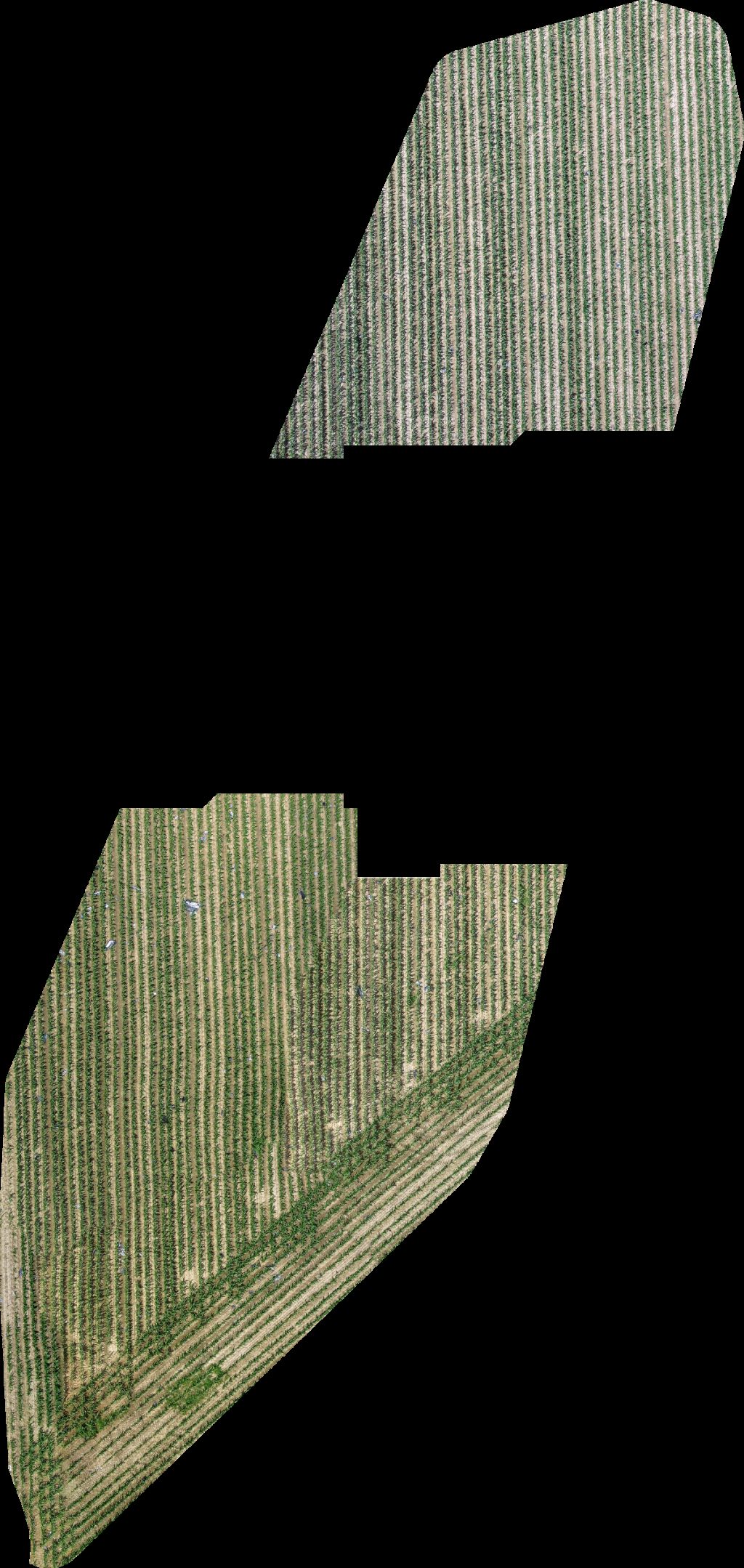 Thumbnail preview for Drone Map of Softeis Im Kirchspiel Hegering Bönen E V in Hamm, Nrw, Germany