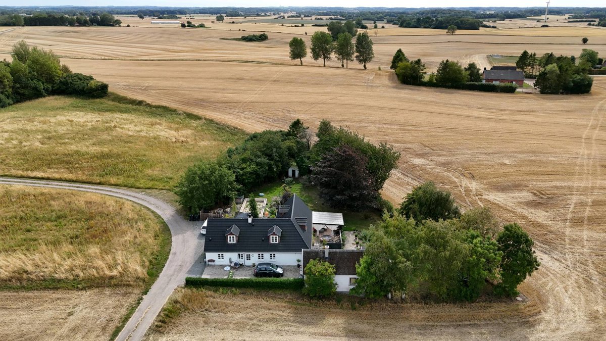 Thumbnail preview for 3D Drone Model of Vingaard Skovkatte F T S Teknik Aps in Lundehuse, Region, Denmark