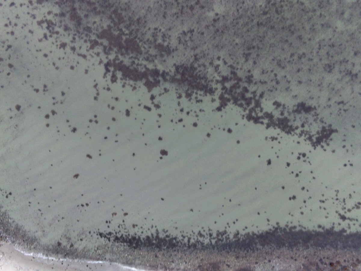 Drone 3d model of Holiday cottage Yderby Lyng Sj Home Alraune 250m from the sea in Sealand by Interhome in from the sea Aerial drone 3d model in Sjællands Odde, Region, DK